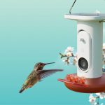 Birdbuddy's AI-Powered Hummingbird Feeder Matches Its Best Price Yet