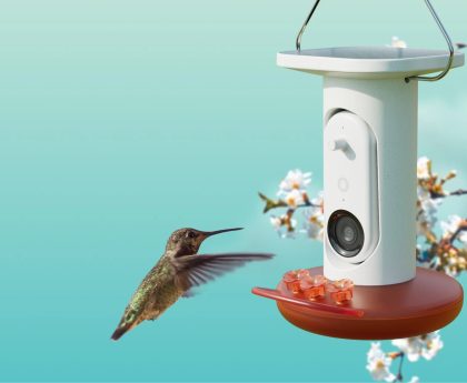 Birdbuddy's AI-Powered Hummingbird Feeder Matches Its Best Price Yet