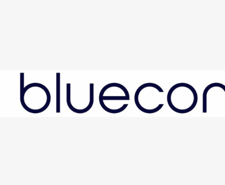 BlueConic Partners with Databricks Marketplace to Deliver Real-Time Marketing Insights to the Lakehouse
