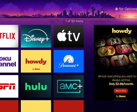 Budget-friendly streaming is gaining popularity