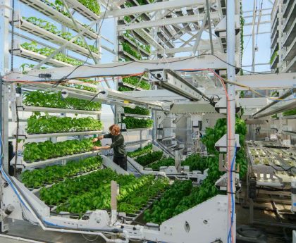 Canopii Aims to Succeed Where Other Indoor Farms Failed