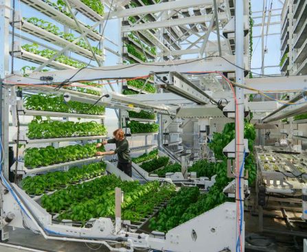 Canopii Aims to Succeed Where Other Indoor Farms Failed