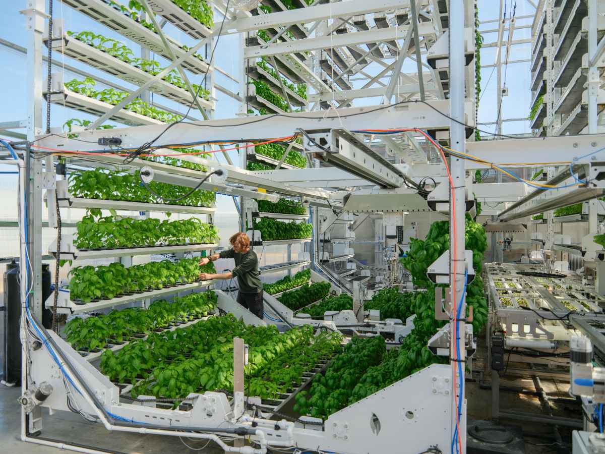 Canopii Aims to Succeed Where Other Indoor Farms Failed