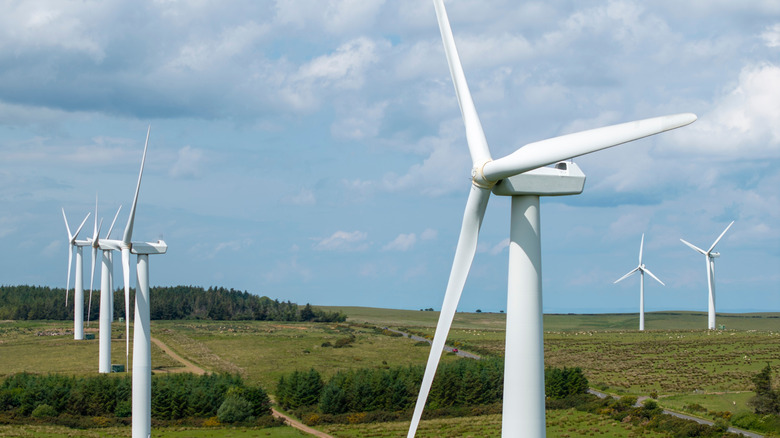 Comprehending the Ten-Year Return on Investment for Wind Turbines: Essential Elements Clarified