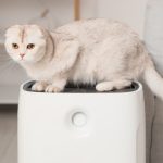 Consumer Reports Evaluates 8 Leading Air Purifier Brands from Least to Most Effective