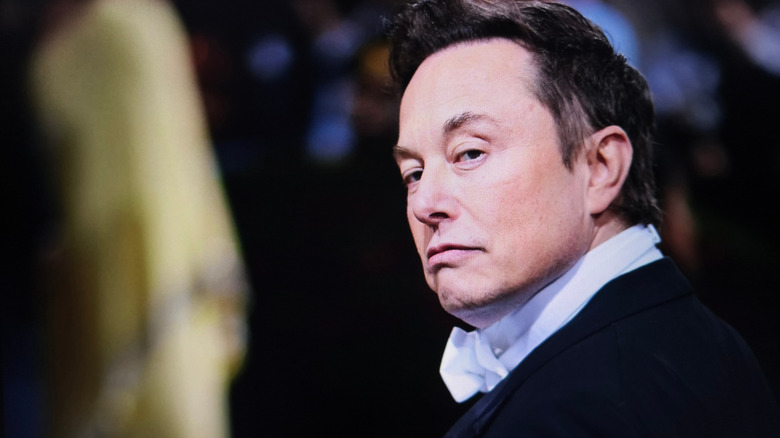 Elon Musk is looking sarcastically over his shoulder.