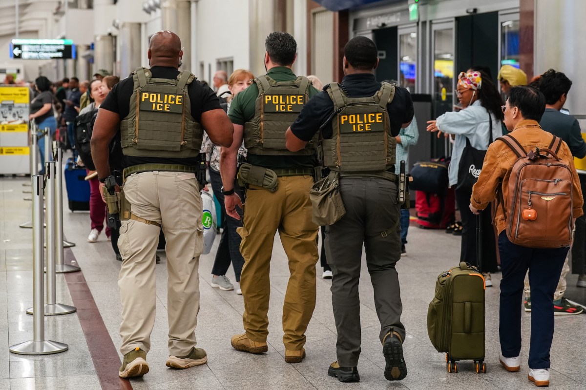 Federal Immigration Agents Film Airport Arrests as Trump Deploys ICE to Ease Security Delays