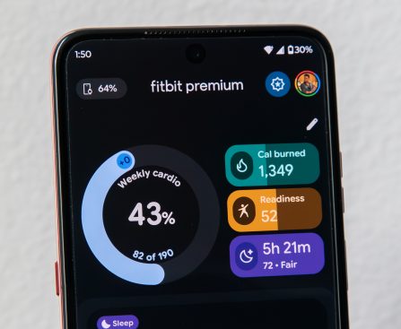 Fitbit to Incorporate Users' Medical Background Information