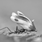 German Biotech Kupando Raises €10M to Advance Its Innate Immunity Drug to Clinical Trials