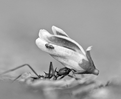 German Biotech Kupando Raises €10M to Advance Its Innate Immunity Drug to Clinical Trials