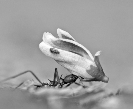 German Biotech Kupando Raises €10M to Advance Its Innate Immunity Drug to Clinical Trials