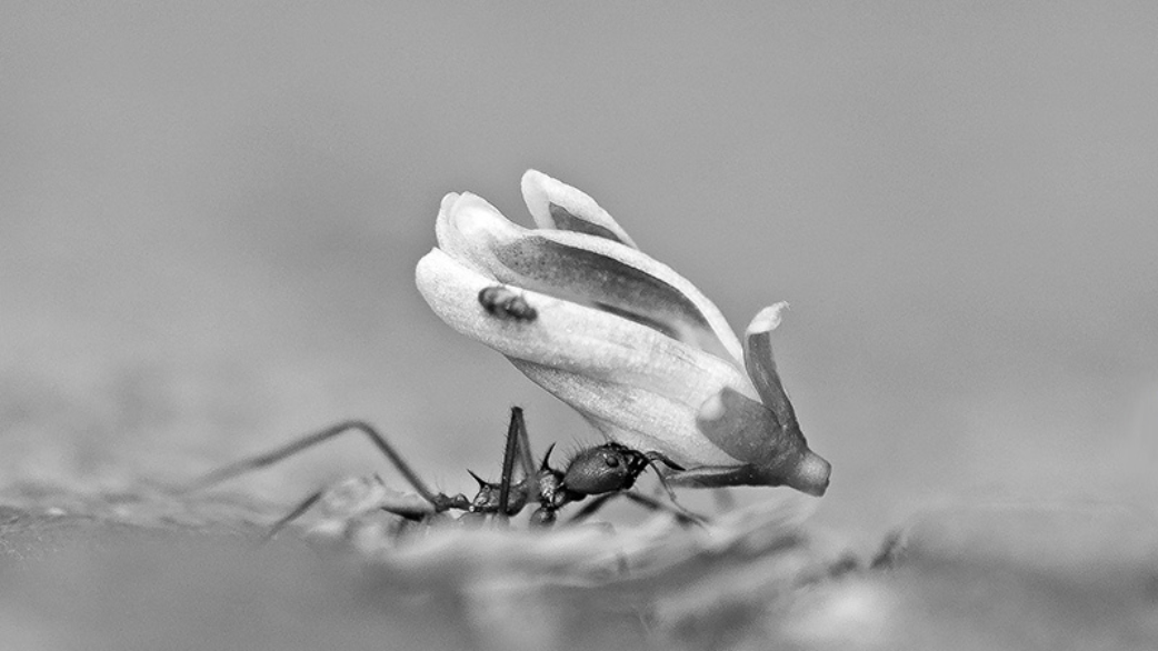 German Biotech Kupando Raises €10M to Advance Its Innate Immunity Drug to Clinical Trials