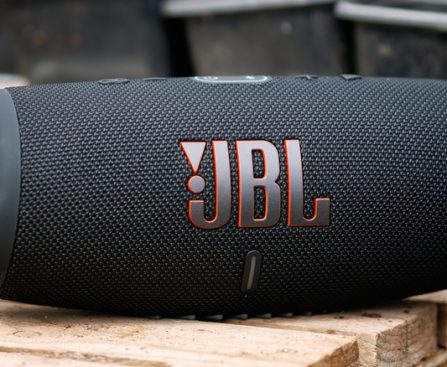 Grasping the Purpose of the Infinity Button on Your JBL Speaker