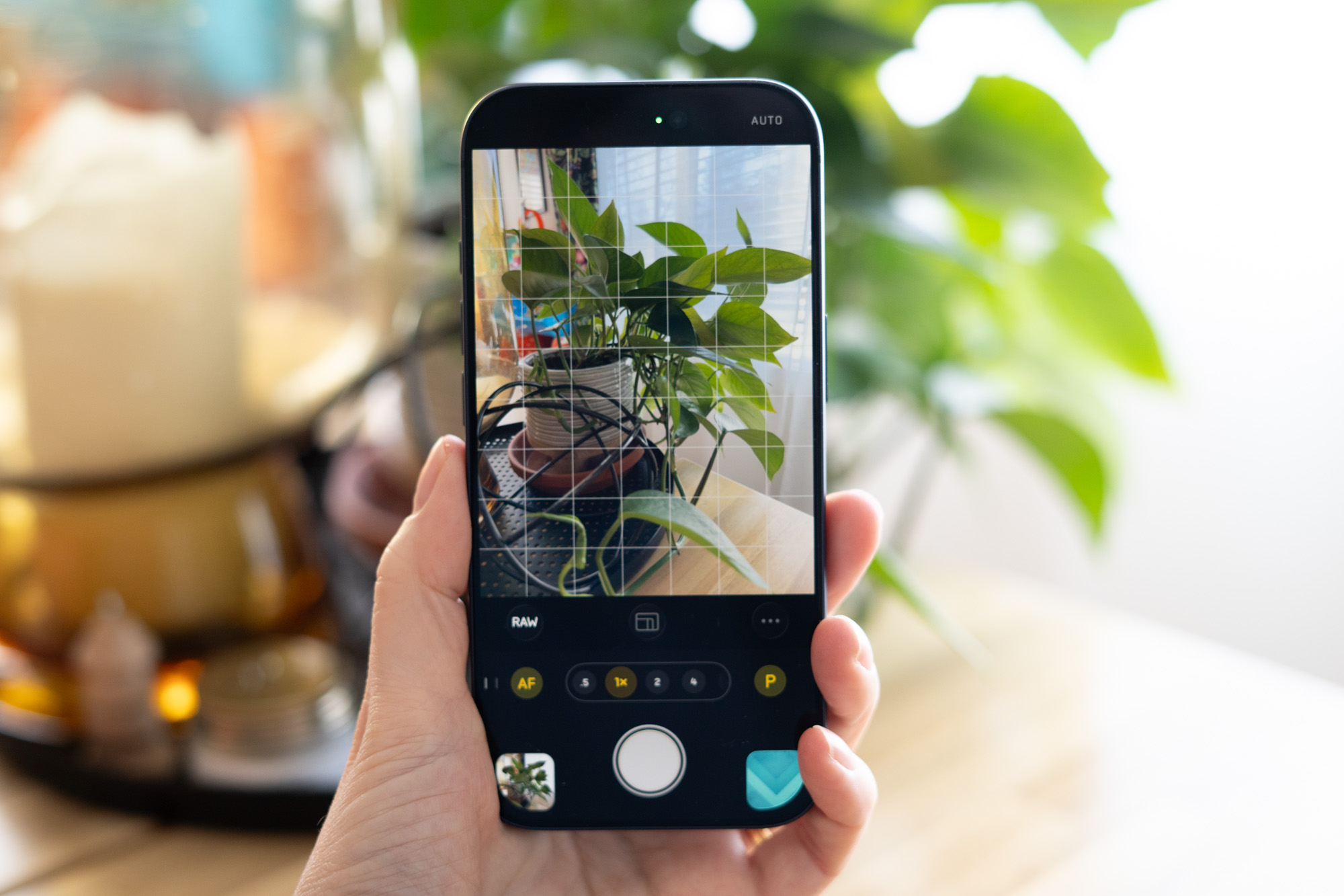 Halide Co-Founder Sues Former Partner for Sharing Source Code with Apple