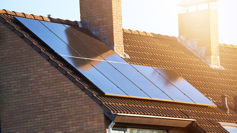 Highly-Reviewed Solar Panels to Buy Right Now According to Consumer Reports
