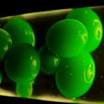 How Lava Lamps Aid in Safe File Encryption