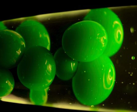 How Lava Lamps Aid in Safe File Encryption