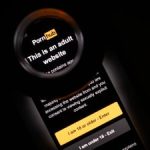 How to Access Pornhub for Free in Texas