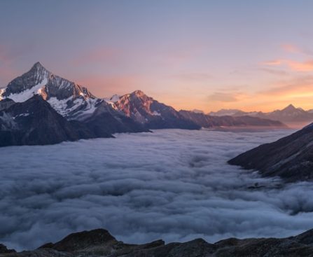 Image Gallery Featuring Popovers and AIM (Anchor-Interpolated Morph)