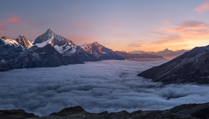 Image Gallery Featuring Popovers and AIM (Anchor-Interpolated Morph)