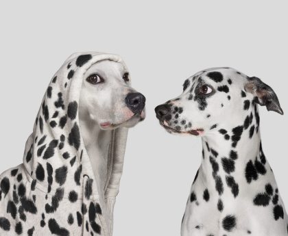 Impersonators Continue Targeting Companies with Fake TechCrunch Outreach