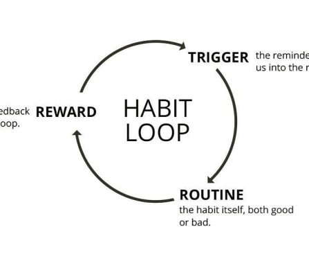 Improved Music Exploration Options for Apple Music Subscribers on TikTok