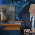 Jon Stewart's Harsh Reaction to Punch the Monkey's New Girlfriend