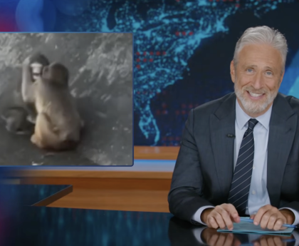 Jon Stewart's Harsh Reaction to Punch the Monkey's New Girlfriend