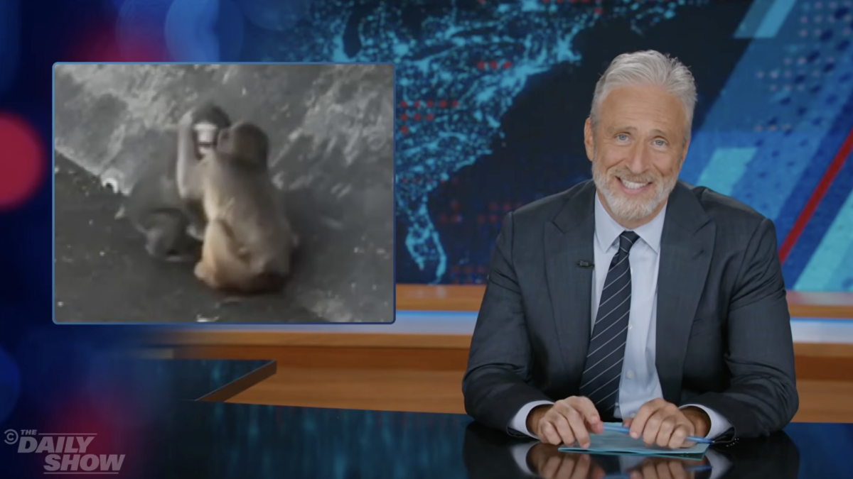 Jon Stewart's Harsh Reaction to Punch the Monkey's New Girlfriend