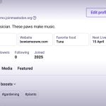 Mastodon's Latest Revamp Simplifies Its Decentralized Social Network