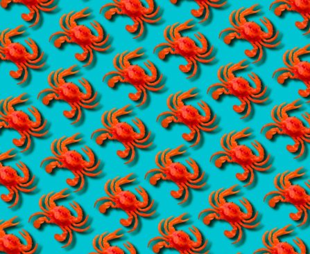 Meta Acquires Moltbook, the AI Agent Social Network Known for Viral Fake Posts