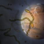 Microbes in Space: An Experiment Surprises Skeptics