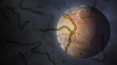 Microbes in Space: An Experiment Surprises Skeptics