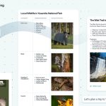 Microsoft Hires Team from Sequoia-Backed AI Platform Cove