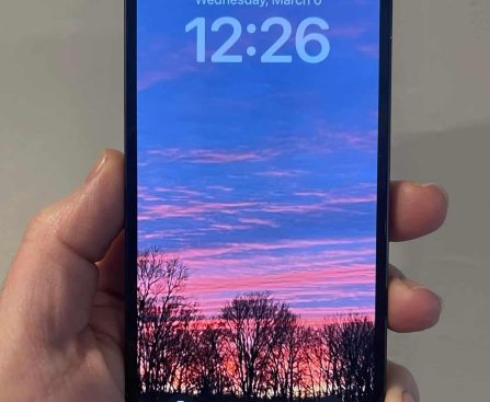 Mint Mobile Provides a Three-Month Wireless Package for $30