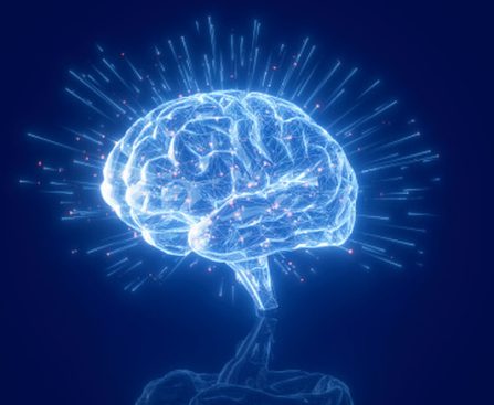 New Study Discloses AI's Influence on Brain Activity