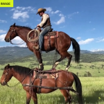 OpenAI Abandons Sora and Its Billion-Dollar Deal with Disney