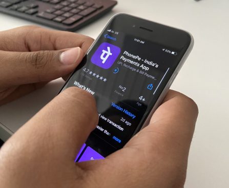 PhonePe Shelves IPO Amid Market Turbulence