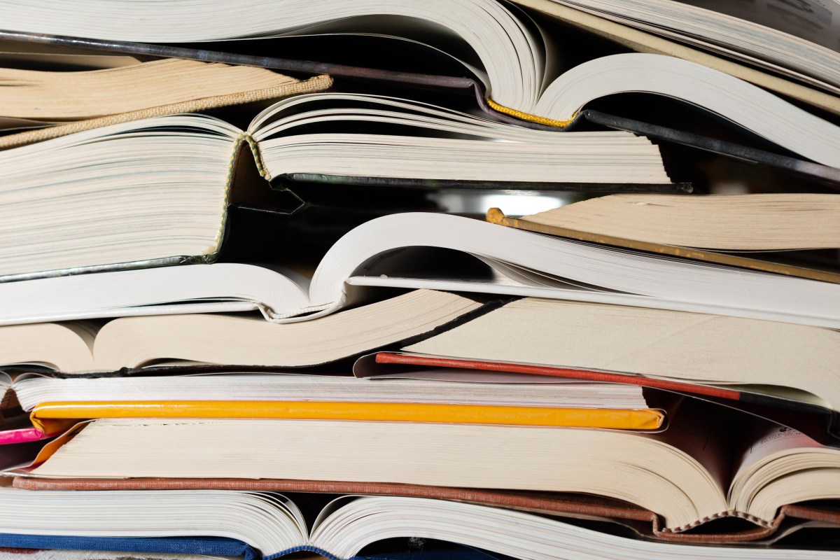 Publisher Pulls Horror Novel 'Shy Girl' Over AI Concerns