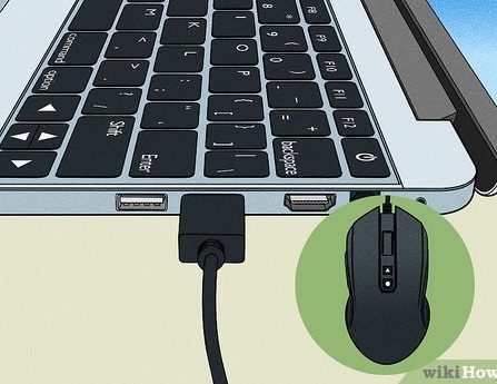 Reasons Your Mouse Could Be Connected to the Incorrect USB Port and Its Impact on Performance