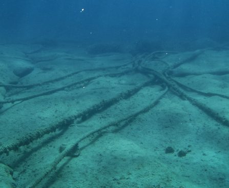 Recovery of the Initial Transatlantic Internet Cable Following Almost 40 Years