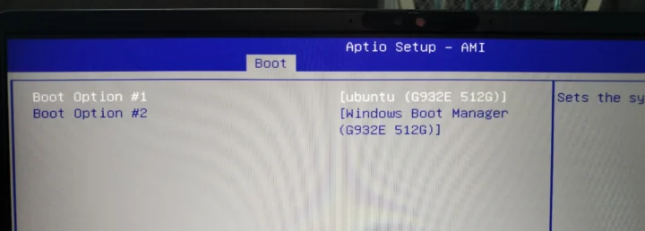 AMI Aptio Setup Boot Priority Options Ubuntu Windows