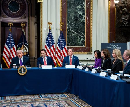 Seven Tech Giants Sign Trump's Pledge to Stabilize Electricity Costs for Data Centers