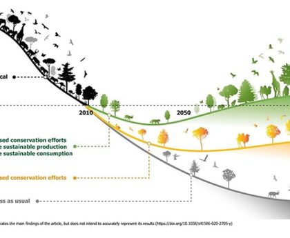 The Diminution of Intelligent Home Hubs: Comprehending Their Outdated Nature