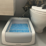 The PetSafe ScoopFree: A Budget-Friendly Litter-Robot Alternative for Cats Who Dislike Enclosed Boxes
