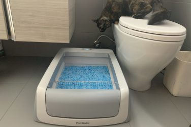 The PetSafe ScoopFree: A Budget-Friendly Litter-Robot Alternative for Cats Who Dislike Enclosed Boxes