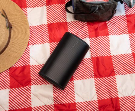 The Versatile Play Speaker: Your Entry Point to the Sonos World