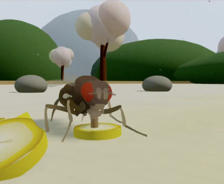 This is not a digital fly