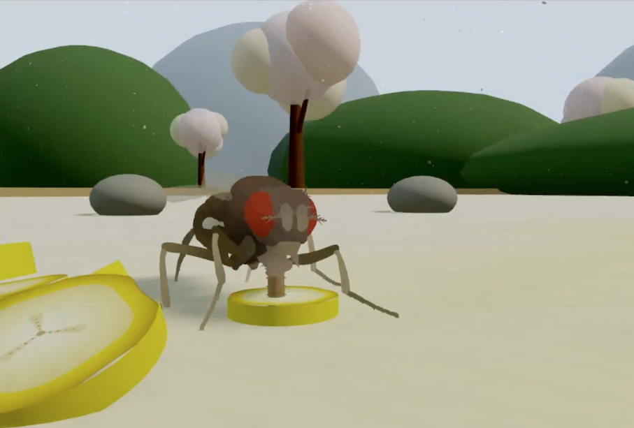 This is not a digital fly