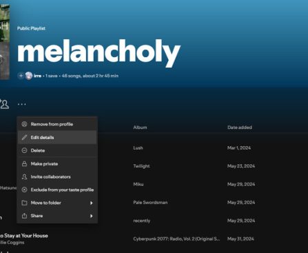 Uncover 5 Spotify Functions to Improve Your Playlists
